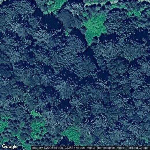 Primary Photo - Rural McMinnville Property