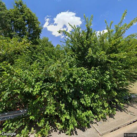 Foto principal - 9815 Walnut St