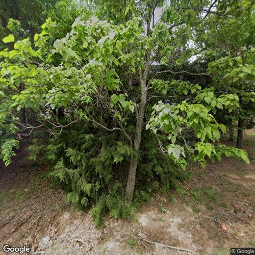 Primary Photo - 11704 Gwendolyn Ln
