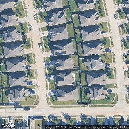 Primary Photo - 13610 Spectacled Bear