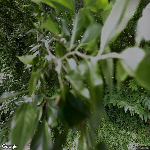 Primary Photo - 7216 Arborcrest Dr