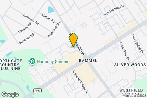 Ashford Santa Cruz photo'