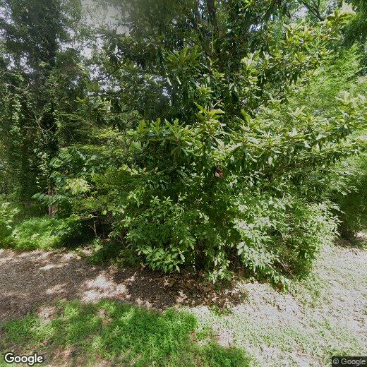 Primary Photo - 239 E Queens Dr
