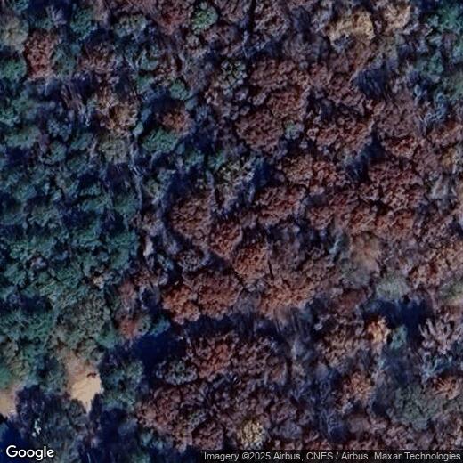 Primary Photo - 4666 Blade Run Rd