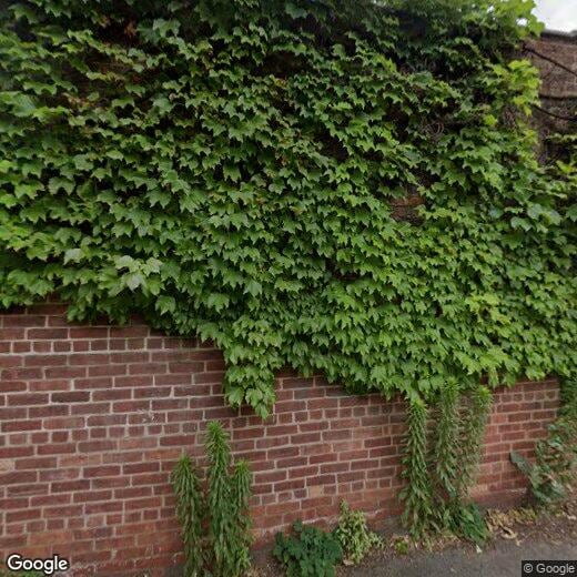 Primary Photo - 264 3rd St
