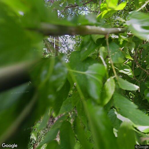 522 S Russell Ave, Mishawaka, IN 46544 House Rental in Mishawaka, IN