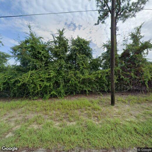 9052 Wade St, Weeki Wachee, FL 34613 House Rental in Weeki Wachee, FL