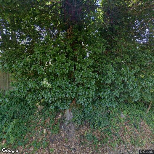 1465 E Putnam Ave, Old Greenwich, CT 06870 Condo for Rent in Old