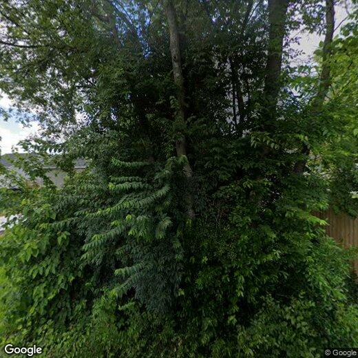 Primary Photo - 3 br, 2 bath House - 2338 Dodson Avenue