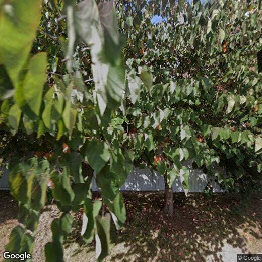 Primary Photo - 160 Newington Rd