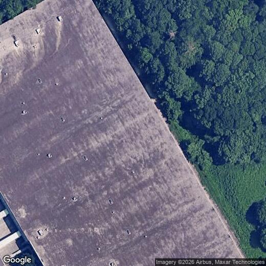 303 Eleanora Xing Photo