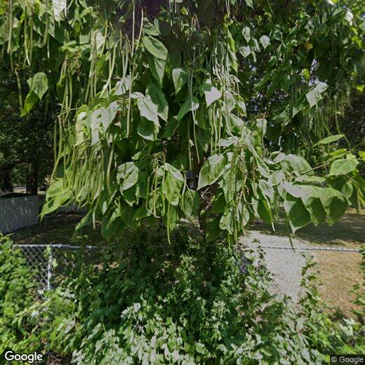Primary Photo - 815 N 7th St