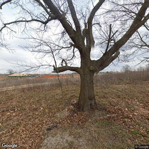 Primary Photo - NEW 4 Bedroom Home In Highfill, Arkansas, ...